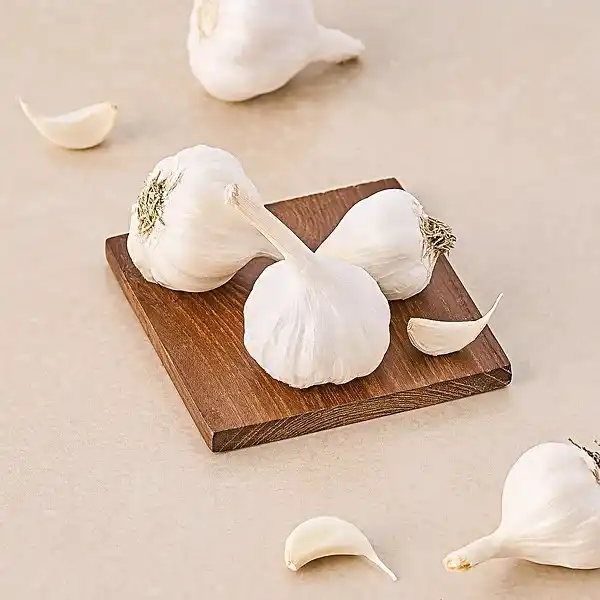 Garlic (लहसुन )