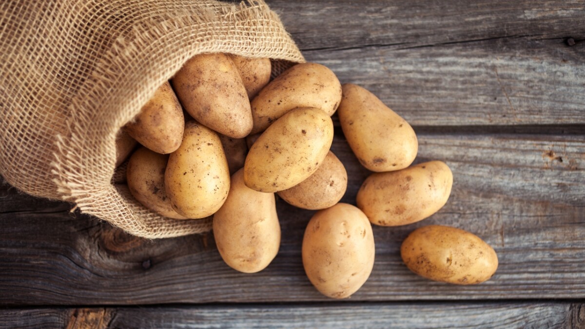 Potato - (आलू )..
